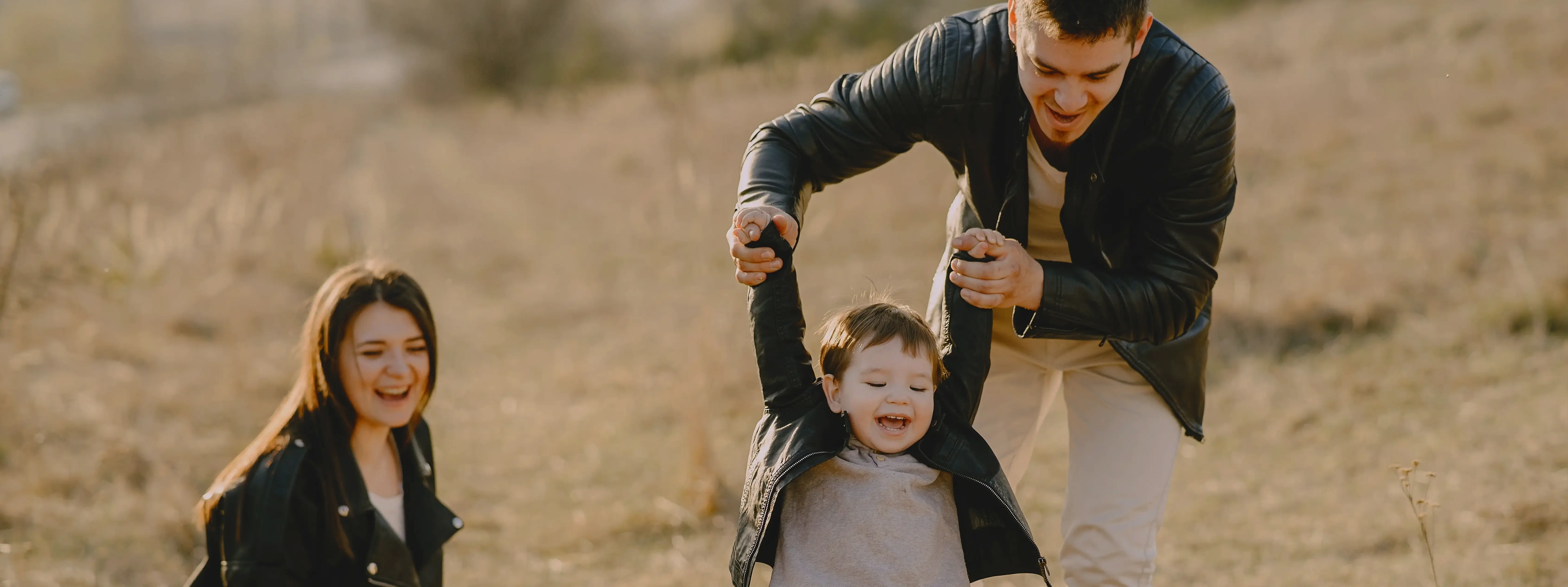 Article image description.